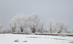 Ağrı'da soğuk hava etkili oldu