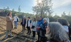 Mudanya Kent Konseyi'nden doğal yaşam alanına yakın mercek