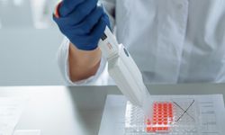 Araştırmacılar, genetiği değiştirilen farelere soyu tükenmiş yünlü mamut benzeri özellikler kazandırdı