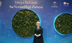 Emine Erdoğan'dan "22 Mart Dünya Su Günü: Su Verimliliği Zirvesi"ne ilişkin paylaşım