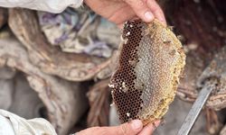 Dört kuşaktır arıcılık yapan ailesinin üretimine devletten aldığı destekle katkı sunacak