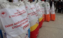 Hatay'da depremzede üreticilere tohum ve zeytin hasat makinesi desteği