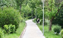 Arnavutluk'taki Büyük Göl Parkı "başkent Tiran'ın akciğeri" olarak nitelendiriliyor