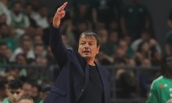 Ergin Ataman, kupa koleksiyonuna 4. kez Avrupa Ligi zaferi eklemeye çalışacak
