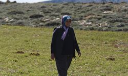 Eşinin vefatının ardından tek başına çiftçilik yapan kadın, eğitimini de aksatmıyor
