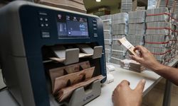 Reel efektif döviz kuru endeksi nisanda geriledi