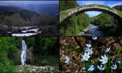 Rize doğal güzellikleriyle ziyaretçilerini bekliyor