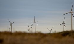 Rüzgar enerjisi yatırımlarının bu yıl 1,5 milyar doları aşması bekleniyor