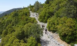 Tarihi kervan ve göç yolu, geçmişin izini süren doğaseverlerin yeni rotası oldu