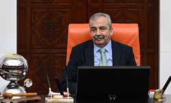 TBMM Başkanvekili Önder, TBMM Genel Kurulu'nda yarın düzenlenecek törenle anılacak