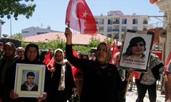 Vanlı aileler, DEM Parti İl Başkanlığı önündeki eylemlerini sürdürdü