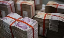 Bankacılık sektörünün net kaarı nisan sonu itibarıyla 264,2 milyar lira oldu