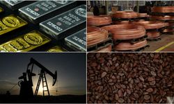 Emtia piyasası geçen ay azalan risk algısıyla yükseldi