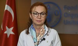 FAO'ya göre, her yıl 600 milyon kişi gıda kaynaklı hastalıklarla savaşıyor
