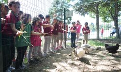 İlkokul öğrencileri örnek davranışlarının karşılığını besledikleri tavukların yumurtasıyla alıyor
