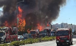 Kocaeli'de palet fabrikasında çıkan yangına müdahale ediliyor