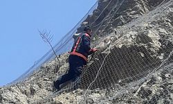 Malatya'da koruma tellerine takılan 2 yaban keçisi kurtarıldı