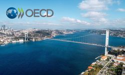 OECD, Türkiye ekonomisinin bu yıl yüzde 2,9 büyüyeceğini tahmin etti