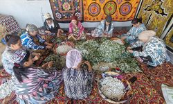 Özbekistan'da ev kadınlarına ipek böceği yetiştiriciliği ile istihdam sağlanıyor
