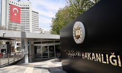 Türkiye'nin, Ege Denizi'ne ilişkin deniz park alanları çalışması sürüyor