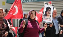 Vanlı aileler, DEM Parti İl Başkanlığı önündeki eylemlerini sürdürdü