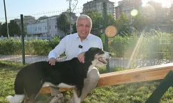 Bursa Nilüfer’de can dostlar yeni yuvalarına kavuştu