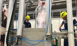 Kocaeli'den uyarı... Sakatatları açık halde çöpe atmayın
