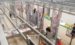 Kurbanlar Kocaeli'nin modern mezbahasında kesiliyor