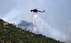 Bakan Yumaklı, yangın söndürme çalışmalarına dair son verileri paylaştı