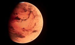 Mars'tan gelen ve dünyaya düşen en büyük gök taşı New York'ta 5,3 milyon dolara satıldı