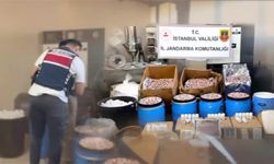 İstanbul'daki operasyonlarda 847 bin 600 uyuşturucu hap ele geçirildi, 2 şüpheli tutuklandı