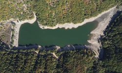 Bilecik'teki barajların su seviyesinin düşmesi ürünlerde verim kaybına neden oldu