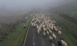 Sisler altındaki Karadeniz yaylalarından dönüş yolculuğu başladı