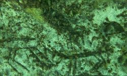 Adıyaman'da Paleolitik döneme ait olduğu değerlendirilen kaya resimleri su altında görüntülendi