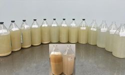 Akciğer yıkaması yöntemiyle hastalar yeniden rahat nefes alıyor