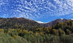 Artvin'deki Borçka Karagöl Tabiat Parkı sonbahar renklerine büründü