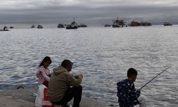 Balıkçıların Karadeniz'deki hamsi avı sürüyor