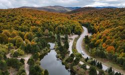 Domaniç Dağları sonbaharın renklerine büründü