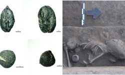 Küllüoba'da bulunan tohum ve bitki kalıntıları, ölü gömme ritüelini ortaya koydu