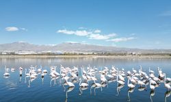 Niğde'deki barajların doluluk oranı kuraklık nedeniyle düştü