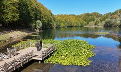 Ordu'daki Ulugöl Tabiat Parkı 9 ayda 220 bin ziyaretçiyi ağırladı
