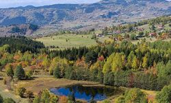 'Sakin şehir' Şavşat'ta sonbahar rengarenk