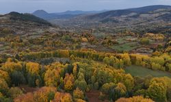 Sinop'ta sonbahar renkleri hakim oldu