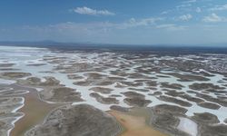 Tuz Gölü'nde yaşanan kuraklık biyolojik çeşitliliği de etkiliyor