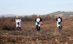 'Alev savaşçıları' bu kez fidan dikimi için sahada