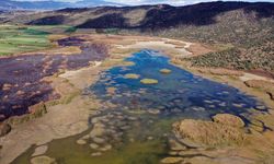 Azap Gölü'nde kuraklık nedeniyle sular çekildi