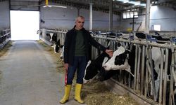 Devlet desteğiyle kurduğu işletmesinde günlük 1 ton süt elde ediyor