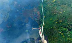 Efteni Kuş Cenneti'nde sonbahar renkleriyle sis ahenk oluşturdu