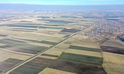 Hasadın tamamlandığı Kars Ovası'ndaki tarlalar 'halı desenini' andırıyor