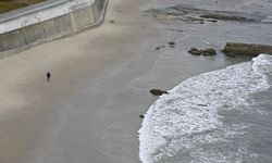 Japonya'da 6,8 büyüklüğündeki depremin ardından hafif ölçekli tsunami meydana geldi